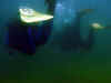 echinger070903-026.jpg (19257 Byte)
