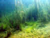 echinger070903-044.jpg (54174 Byte)